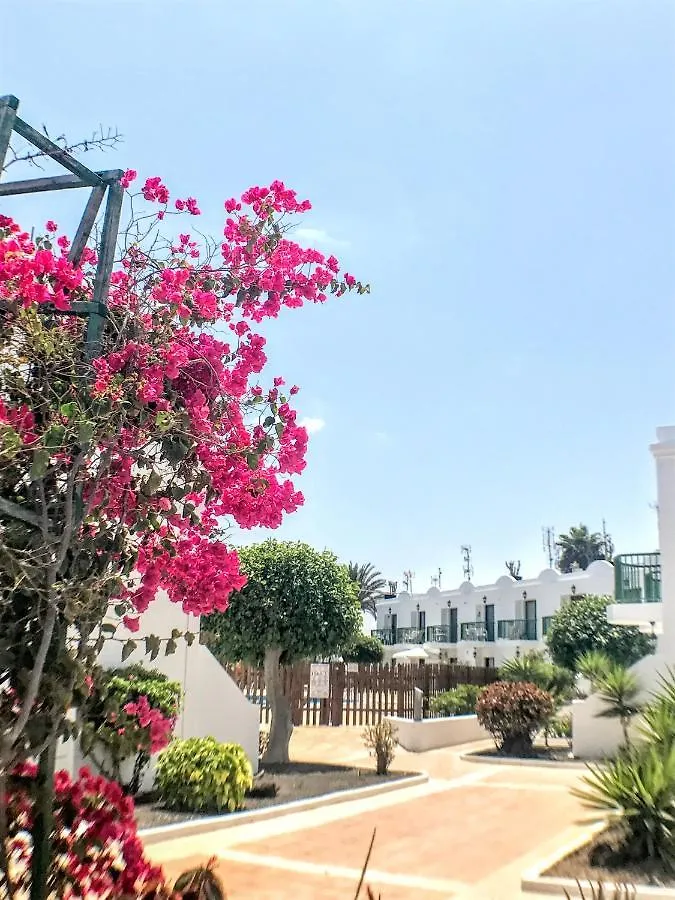 Buganvilla Corralejo